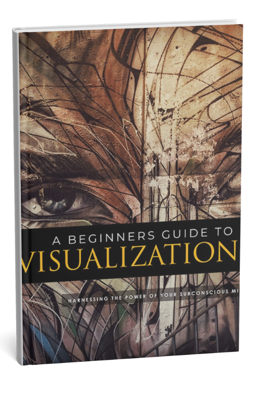 A Beginners Guide To Visualization