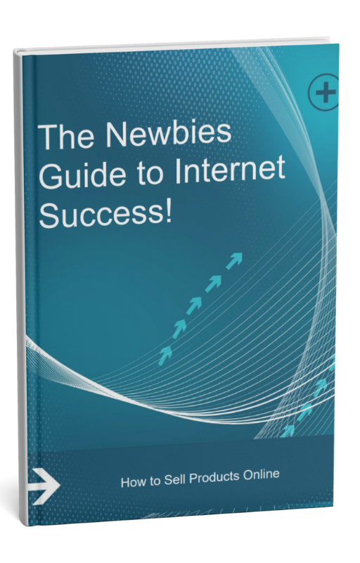 The Newbies Guide To Internet Success